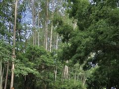 -大雁山风景区