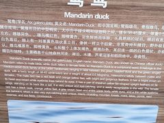-宁波杭州湾国家湿地公园