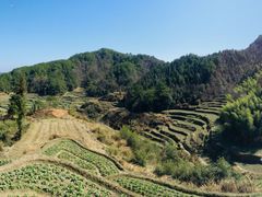 -灵山景区梯田