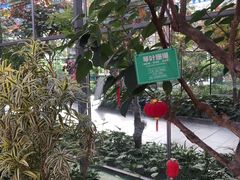 -南宫五洲植物乐园