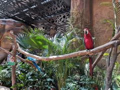 -杭州开元森泊度假乐园