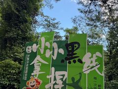 -芦仙山景区-飞越丛林探险乐园