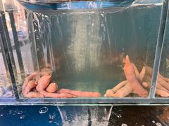 -小郭私房菜·海肠捞饭店(学士街店)