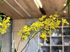 -山下C5cafe(惠通时代广场店)