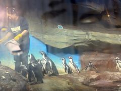 -海合安武汉极地海洋公园