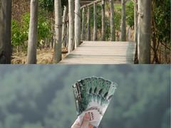 -泰宁旅游风景名胜区