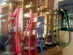 -Sultan pakistan苏单巴基斯坦