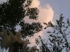 -象屿大宁悦府