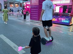 -荷兰花海