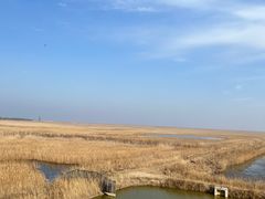 -盐城丹顶鹤湿地生态旅游区