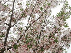 -长辛店二七公园