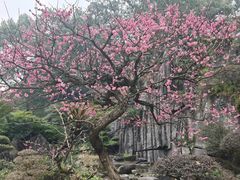 -南山植物园