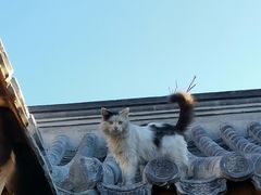 -创艺无限·赵春香微妙艺术馆