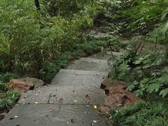 -西湖游船