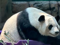 -青藏高原野生动物园