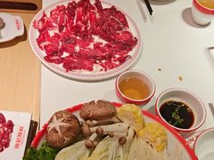 -陈记顺和潮汕牛肉火锅(西门口广场店)