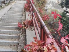 -北京鹫峰国家森林公园