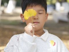-范蠡湖公园