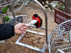 景点-南宫五洲植物乐园