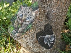 -上海山野camping·户外天幕烧烤·团建拓展营地