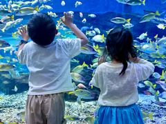 -海合安武汉极地海洋公园