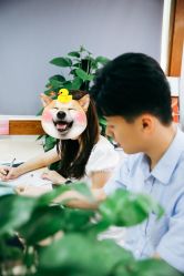 -JEFF STUDIO摄影摄像婚礼跟拍