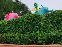 -秦皇岛乐岛海洋王国