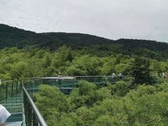 -陶祖圣境风景区