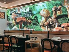 -野·大山里野生菌石锅土鸡(益田假日店)