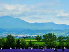 -富田农场