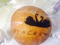 -BLACKSWAN黑天鹅(环球店)