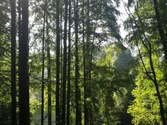 android_upload_pic-灵栖洞天