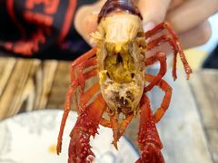 -祥鹤龙虾螃蟹