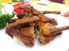 红烧乳鸽-旺富东海大酒楼(海鲜街店)