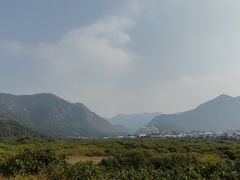 -大澳