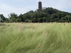-红花山公园