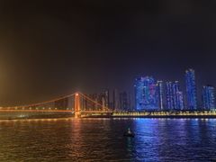 -武汉两江游览·夜游长江(汉口粤汉码头)