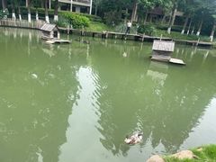 -乌村