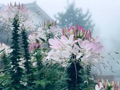 -山王坪喀斯特国家生态公园