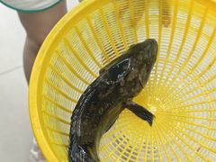 -鑫鸿达·海鲜闽菜热炒小馆(中山路店)