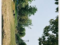 -滆湖低碳生态公园