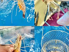 -SHRIMP CLUB万东餐饮钓虾·清吧