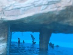 -横琴湾水世界