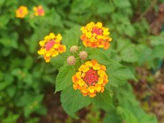 -东钱湖旅游度假区