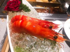 -海底捞火锅(嘉兴杉杉in象生日主题店)