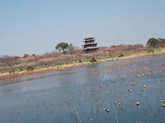 -上海海湾国家森林公园