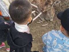 -北京麋鹿生态实验中心