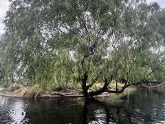 -共青国家森林公园-南大门停车场