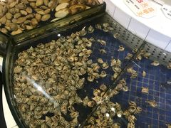 -益利大酒楼(井岸店)