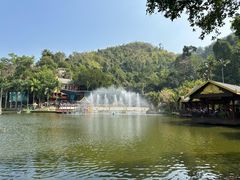 -西双版纳原始森林公园